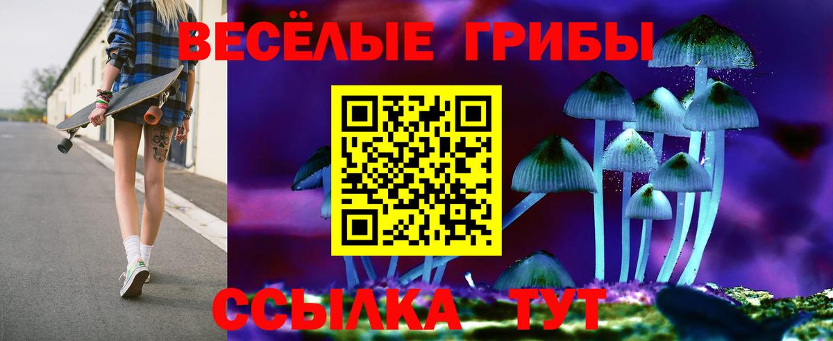 Галлюциногенные грибы Cubensis  Псилоцибиновые грибы MAGIC MUSHROOMS  Усолье-Сибирское  продажа наркотиков  Вход с VPN 