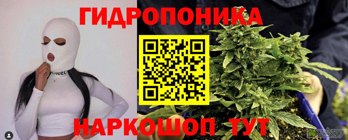 Шишки марихуана план Усолье-Сибирское